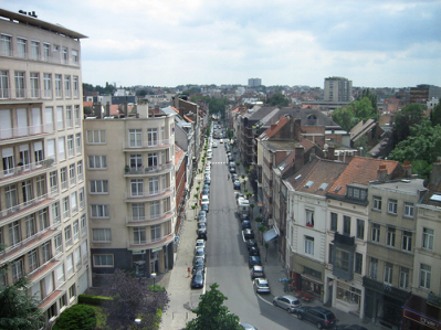 brusselsfixed's profile picture. 