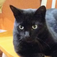 Lady Yarrow (@ladyyarrow) 's Twitter Profile Photo Lady Yarrow (@ladyyarrow) 's Twitter Profile Photo