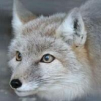 AlexanderKluge9's profile picture. 