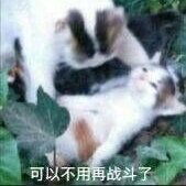 安眠さんのプロフィール画像