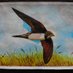 Shiphay Birder (@shiphaybirder) Twitter profile photo Shiphay Birder (@shiphaybirder) Twitter profile photo