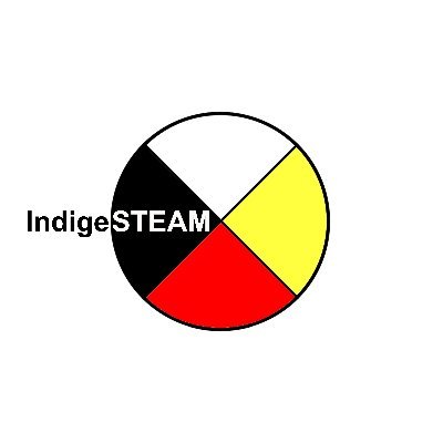 Indigenous Science Technology Engineering and Math outreach through Arts, Humanities, Creativity and fun! Connecting professionals, students and youth. #STEAM