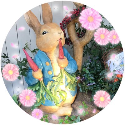 winwinmiwa's profile picture. ☺︎千葉雄大くん☺︎ *･゜ﾟ･*:.･*♡FC会員 ♡*･゜ﾟ･*:.｡..⚪︎