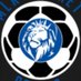 MLK Royals Boys Soccer 2020-2023 (@MLKRoyalsSoccer) Twitter profile photo