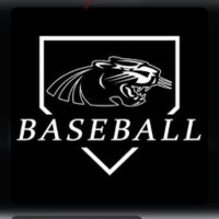 Boro Baseball (@baseballboro) 's Twitter Profile