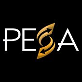 Pesatr (@pesatrofficial) Twitter profile photo