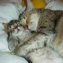 68Vopros's profile picture. Чтобы вести людей за собой, следуй за ними. Лао Цзы          

#FollowBack