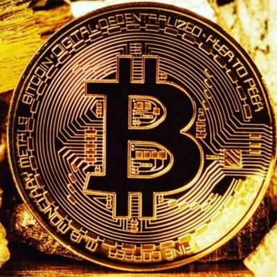 miguelrpliego's profile picture. 