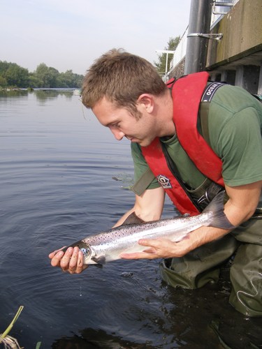 I’m Sam Billington. Follow my work for the Environment Agency in catching, tagging and monitoring salmon who are naturally recolonising the River Mersey