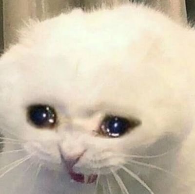 AntonioBleno's profile picture. 