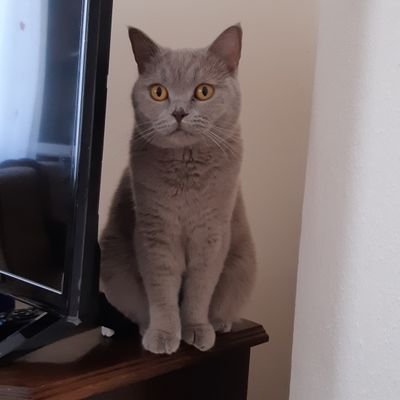 ilknur0776's profile picture. 