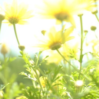 bachi_kobachi's profile picture. おっさんずラブ in the sky →千葉ヒャダ台湾旅で千葉雄大さんファンになりました。カラシニコフの朗読劇でさらに落ちて、最近一人で消化しきれなくなったのでこちらに思いを吐き出しています。FC会員。Twitter登録だけしてずっと使ってなかった初心者。無礼ありましたら申し訳ございません。無言フォロー失礼します。