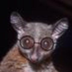 onprony's profile picture. Oxford Comma Mafia. Missed my midterms and flunked shampoo. Questioning your commitment to Sparkle Motion since 2008. RTs = 🐀
OneNotePony on the 青空 site.