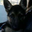 Robin Withers - @RobinWithers - Twitter