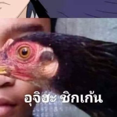 I_dieTellmehow's profile picture. 