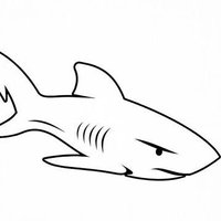 Imaginary Shark (@imaginaryshark) 's Twitter Profile