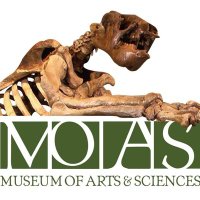 MOAS Daytona Beach (@moasdaytona) 's Twitter Profile