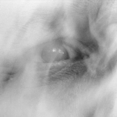 InfinityBurners's profile picture. 