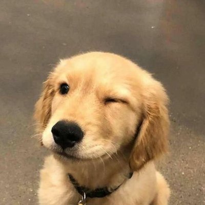 AleaiactaestI's profile picture. 