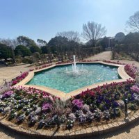めぐちょ (@_meg_ism) 's Twitter Profile