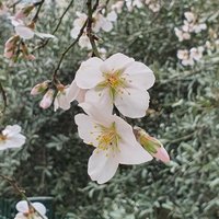 birvarmışbiryokmuş (@birvarbiryokki) 's Twitter Profile