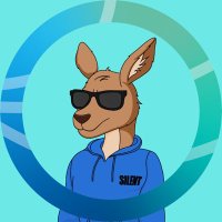 silentfoe.eth (@pingsmp) 's Twitter Profile Photo
