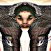 Jared Rao (@jar3drao) Twitter profile photo Jared Rao (@jar3drao) Twitter profile photo