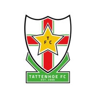 Tattenhoe FC (@_tattenhoe_fc) 's Twitter Profile