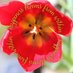 Kathy Jones (@kathyjoneska) Twitter profile photo Kathy Jones (@kathyjoneska) Twitter profile photo