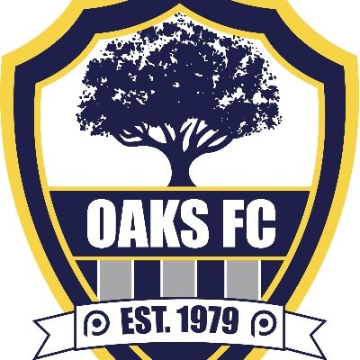 Professional Football Club that competes in that National Independent Soccer Association