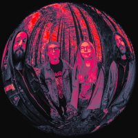 Greenseeker (@greenseekerpdx) 's Twitter Profile