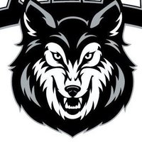 HCLadyWolvesSoftball (@hcwolvessoftbal) 's Twitter Profile