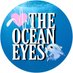 The Ocean Eyes FC (@TheOceanEyesFC) Twitter profile photo