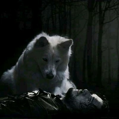 Rise n rise again, until lambs become lions