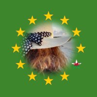 @AngharadHafod@toot.wales 🇪🇺🏴󠁧󠁢󠁷󠁬󠁳󠁿(@AngharadHafod) 's Twitter Profile Photo