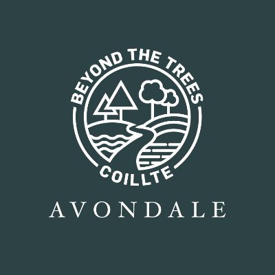 Beyond the Trees Avondale is an exciting new visitor destination at Coillte's Avondale Forest Park, with Ireland's first accessible Treetop Walk & Viewing Tower