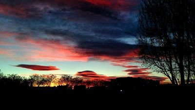 latosnts's profile picture. 