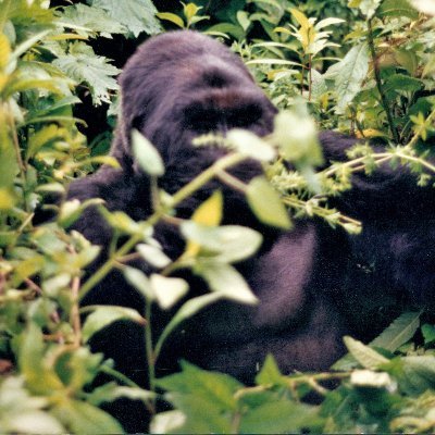 digby_th's profile picture. Likes: natural beauty, wild animals, + similar people (!), who can have discussions which are cool and rational, and substantiated by facts, not conjecture.