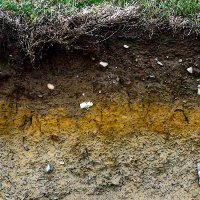 ESA Soil Ecology (@esasoilecology) 's Twitter Profile Photo ESA Soil Ecology (@esasoilecology) 's Twitter Profile Photo