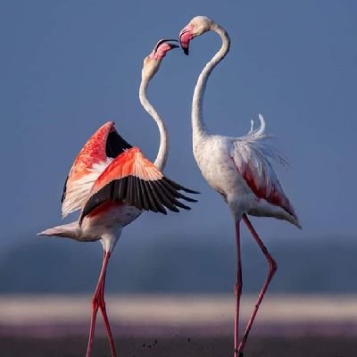 IloriOpeyemi7's profile picture. Science makes me happy