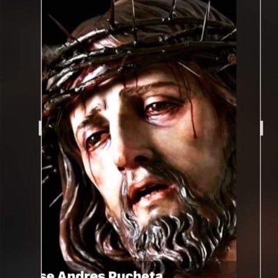 Migueln84082440's profile picture. 