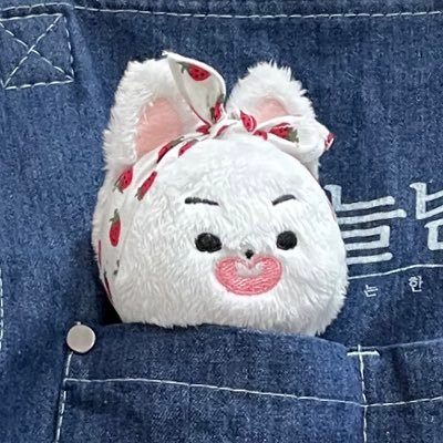 블락비 피오 표지훈 10cm 인형 (•̀♡•́)