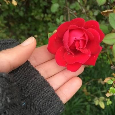LuSuroya's profile picture. 
