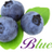 Blueberry