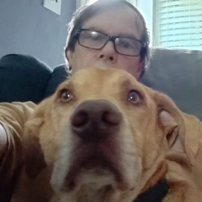 jeauusss's profile picture. Retired electrician. Proud Dem. Won't participate in pissing contests with republicans - Not a bot, my mother had me tested. https://t.co/4cLtJg99GU