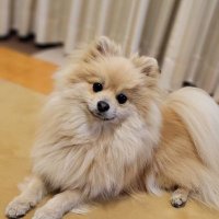 ミ (@mh4g_miebori) Twitter profile photo