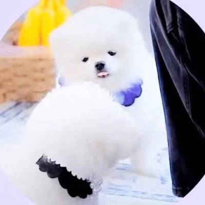 Altered_Ego2019's profile picture. 