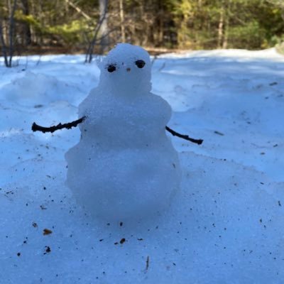 thisguy4mayor's profile picture. Freedom of Speech | Freedom of Association | Free Markets | Property Rights | Law and Order | Pro-Life | Pro-Gun | School Choice