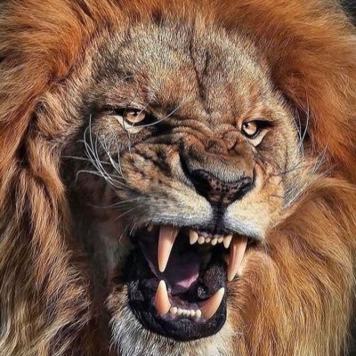 DlbreenM's profile picture. crypto with diamond 💎 hands 🙌  just do it