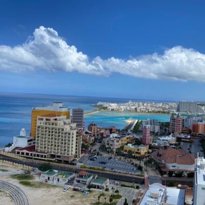 shuya2483's profile picture. 